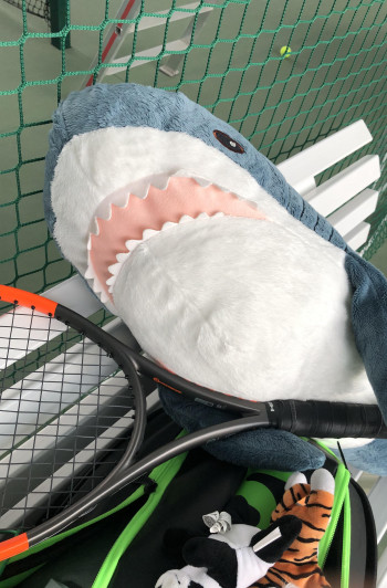 Густов Ян Евгеньевич