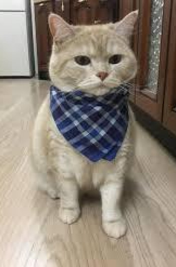 Абоимов Владислав Евгеньевич