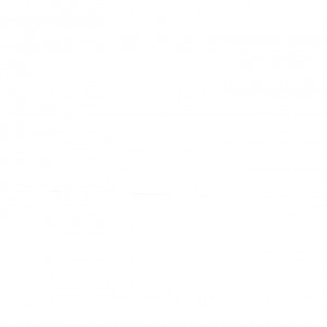 Шульга Вадим Владимирович