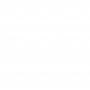 Шульга Вадим Владимирович