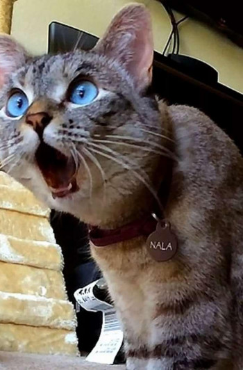 Кормушкин Иван Николаевич